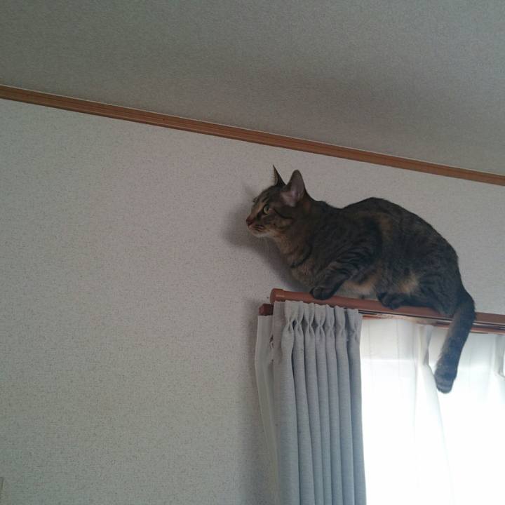 C2f9490d 6027 49fe 9943 73c43398615d