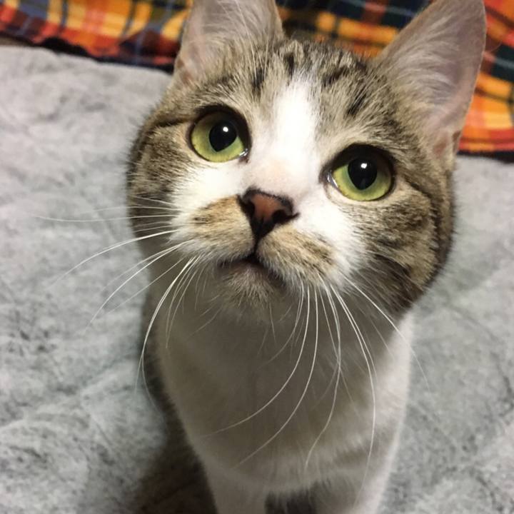 C2f993b1 b28c 438d ac31 21602e556112