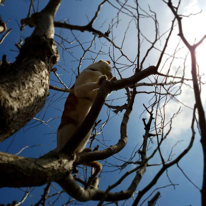 C2fb0215 2615 48a2 94db aeaa00bde04a