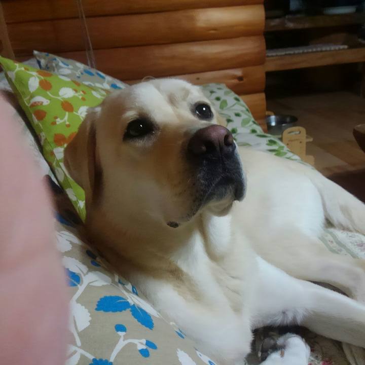 C2fbd3b1 c123 449d aade 16f600c2ad7a