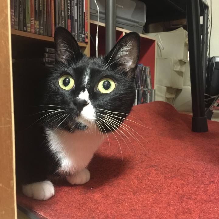 C2fc1dbd 0696 46dd a338 81dd82a41a00