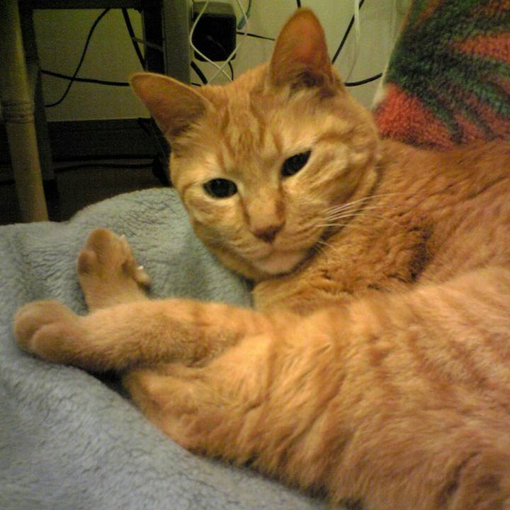 C2fc7cdf 27b5 4971 ab9f d74a1f21831d