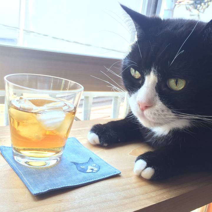 C2fdd7a7 2e7a 42ec 8690 bfcd5d923ca2