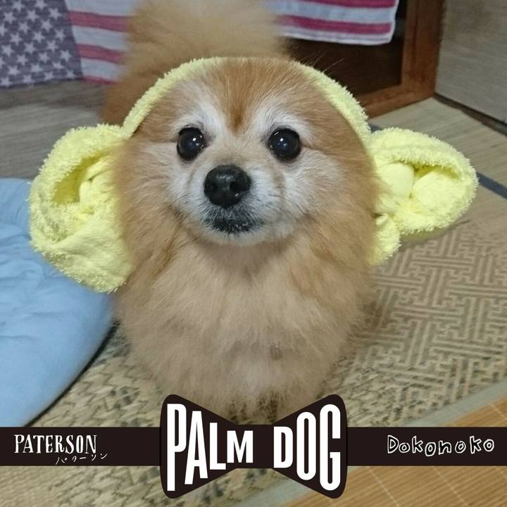 C2fdf7f6 7bb7 45ca affa e40436400c42