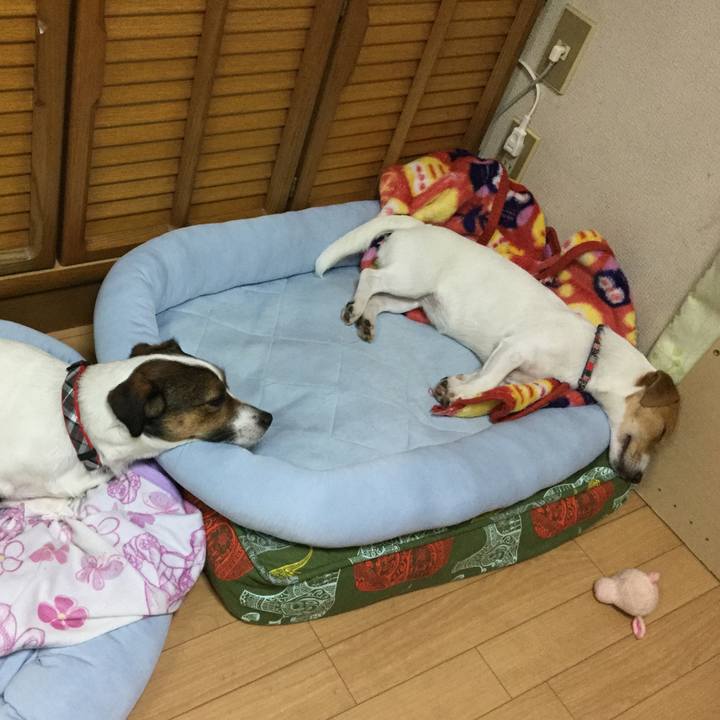 C2fe6262 3226 4a4d 8832 52f60c750584