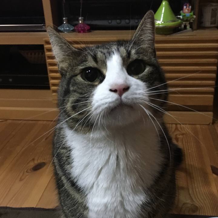 C2fe7ccc a6b8 48d0 a8de b9fc07a44c47