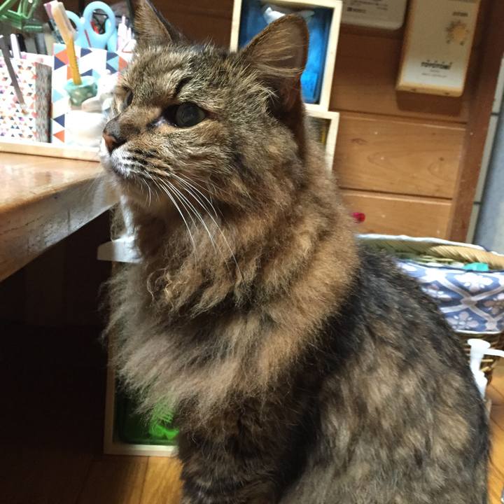 C2ff357e 00d0 4da2 8f9c 7dd8464d54d5