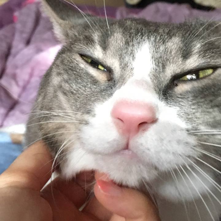 C2ff91ac 0f74 4f8e ae7f a6623cfdf4f9