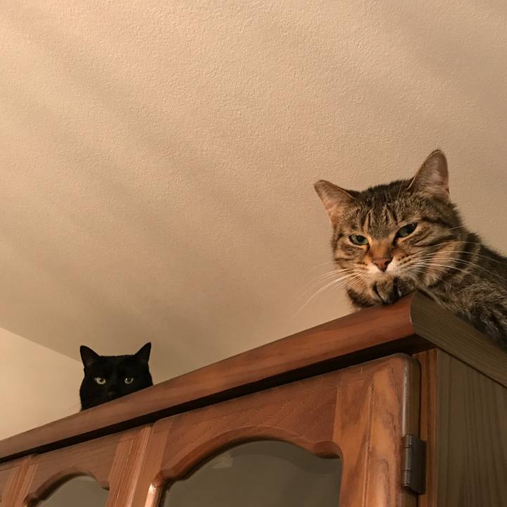 C2ffe5d0 e015 4553 98b3 93167f64d60f