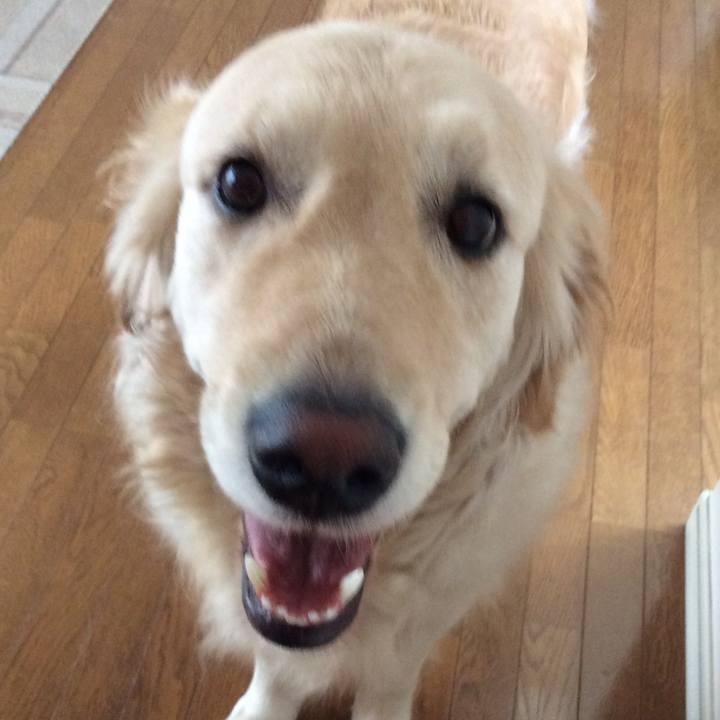 C30049c1 f1f7 4fb9 b617 26540c5c28e8