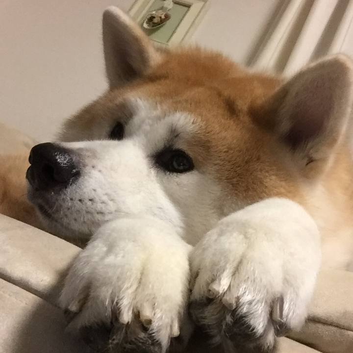 C300538e 21c8 44e5 90ce 16c7c69da6aa