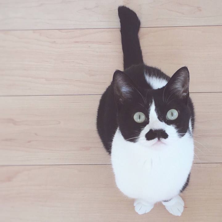 C300a8ff 1bf2 48bf 9a0a 719e2deb07b7