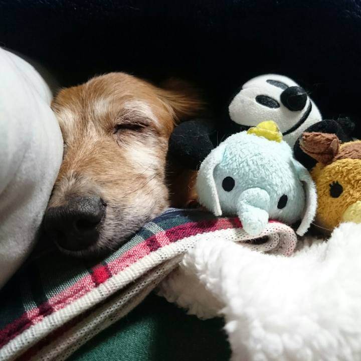 C301d9bd a57a 4b61 8535 70c3e036d550