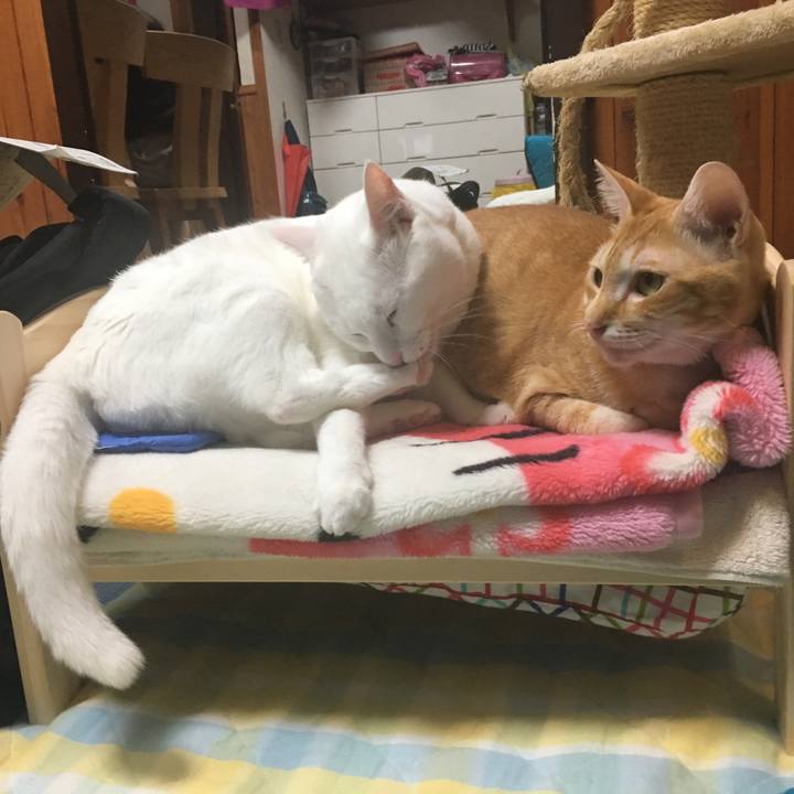 C30221b6 e931 4b2e 8be1 57e67431e552