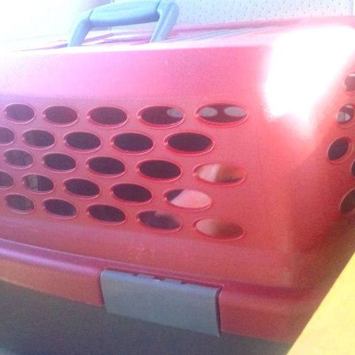 C3023cfc 7467 4acd 99cf c55387fb95fd