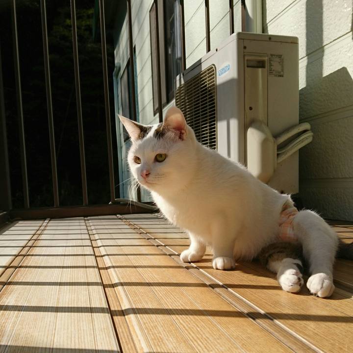 C3026f5f bc57 4677 9e4f 26a0de3e457c