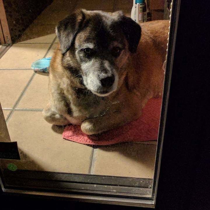 C3035a2f fba4 4a66 b93e 9c9d0b70dc57