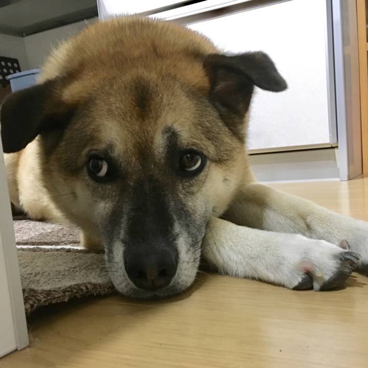 C3038879 7b38 43f7 83a1 6a3ed3071be4