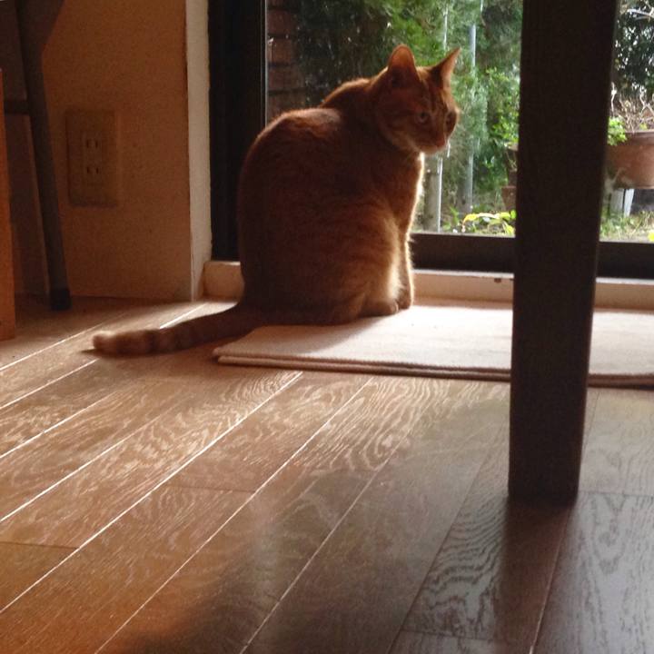 C3038d63 e065 4fbd 8cd6 6b7694660e05