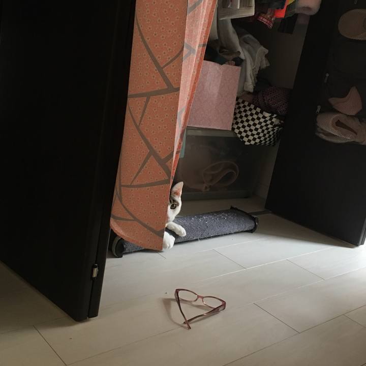 C3041d3d 970b 49a8 9bd7 b2c5cfdf0b95