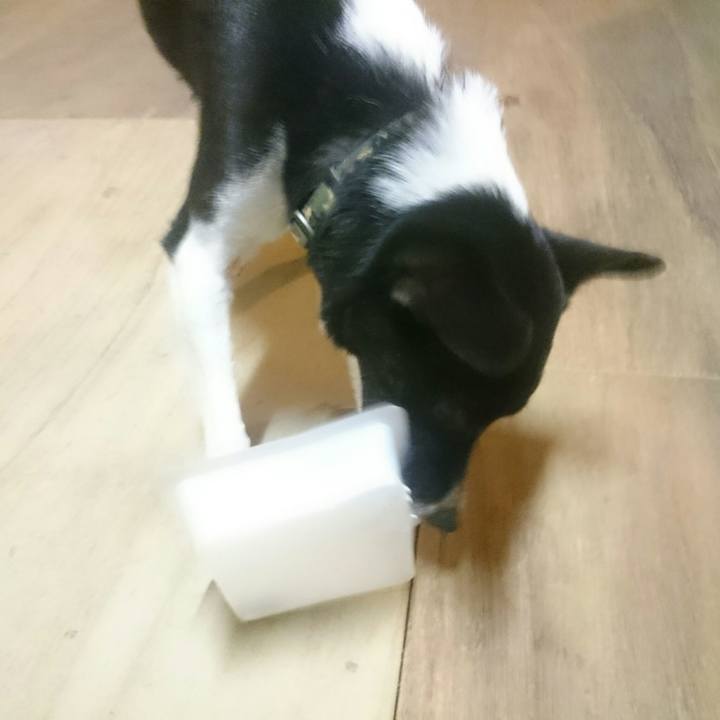 C3044e50 80da 4a99 a5f5 1a6fbdf513f1