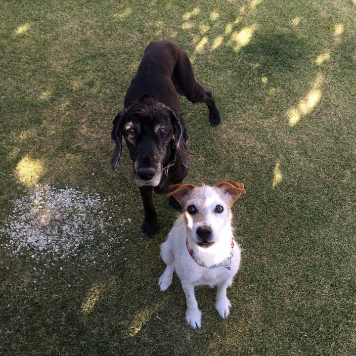 C304a828 ce5d 4d92 a34f c00de9755d4c