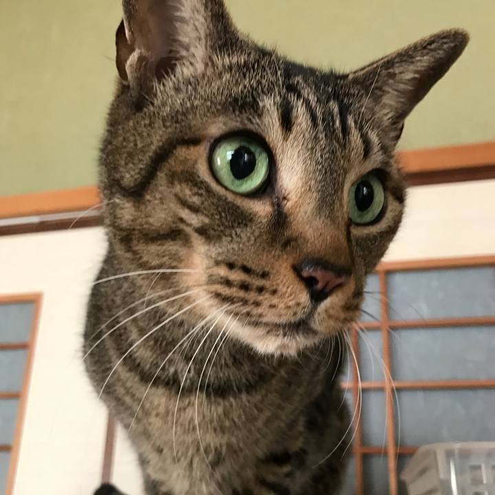 C304b53a f5d4 4f10 a84e 545d4c36f4e8