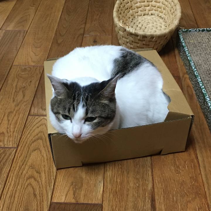 C304d5a1 eefe 44ed b756 4c49b8017029