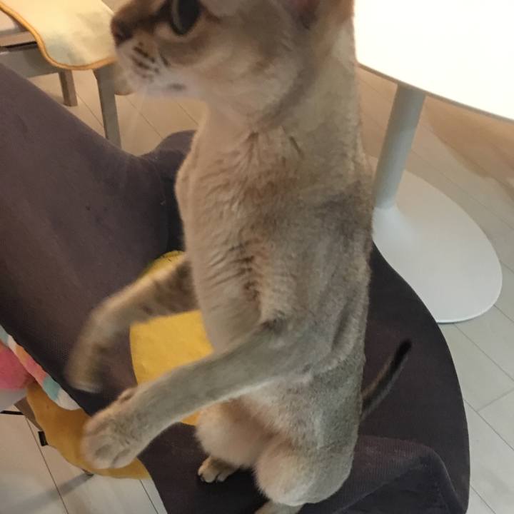 C30500c5 a1c2 4eec 9d9e 756c0865cab9