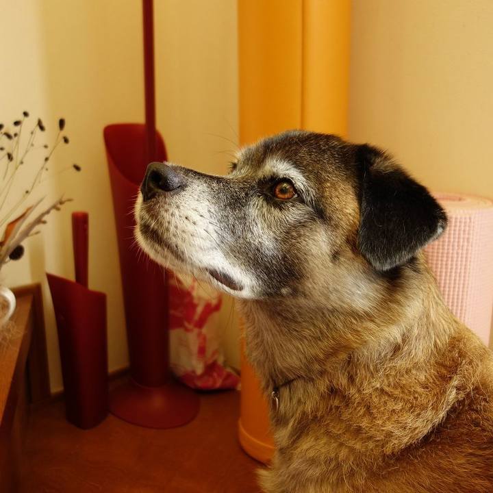 C305ca3f 10e8 4a44 bd26 3ed6dbe0ab57