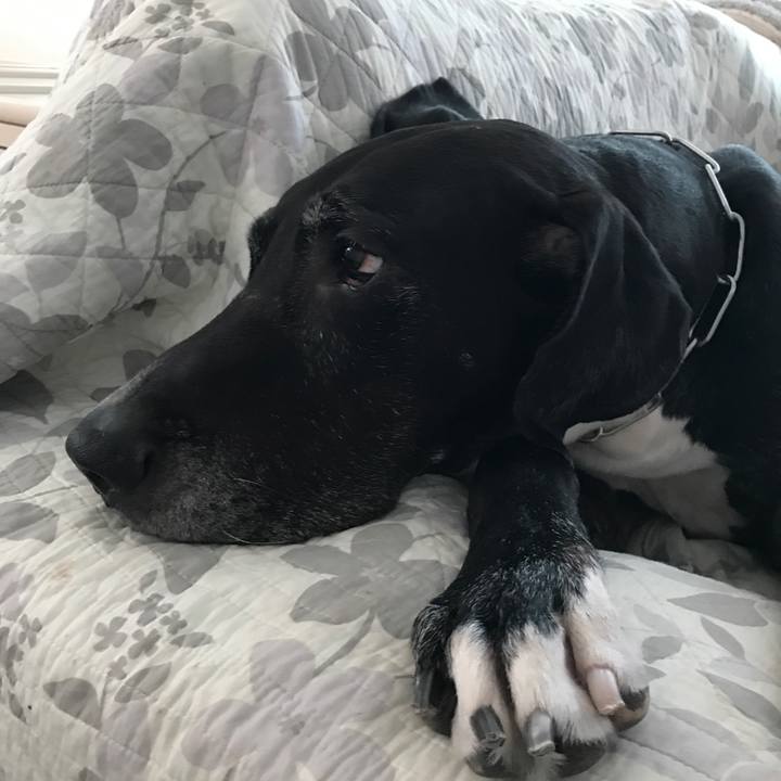 C305f9f3 dfcc 43ec 8467 520d7b4407dc