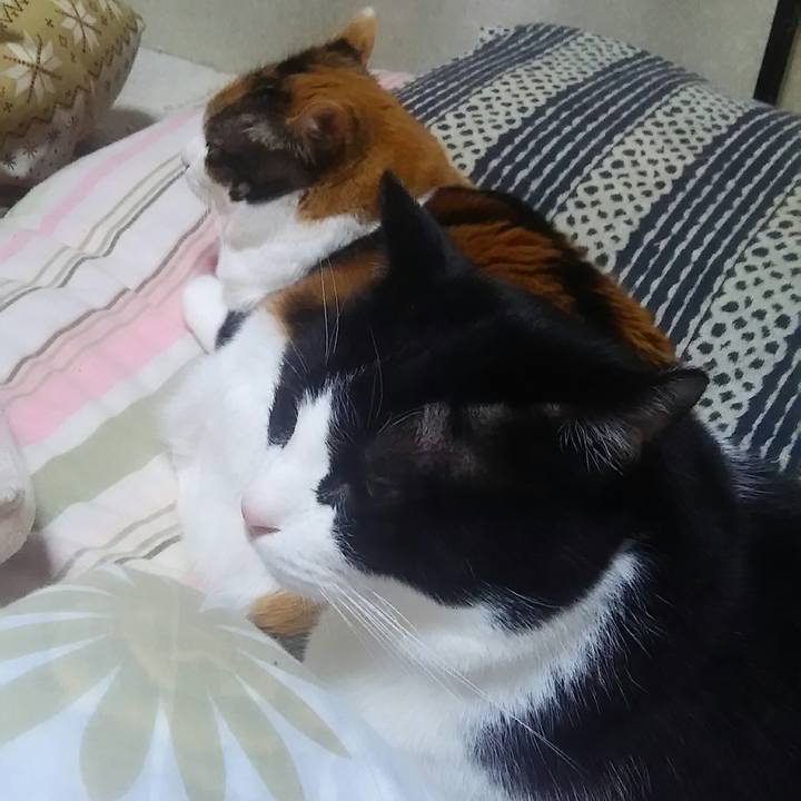 C3069832 ef1d 4fdf 8423 de8dfa3b4a98