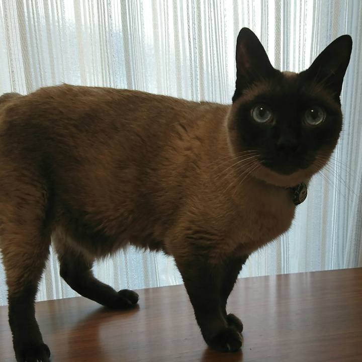 C306a26d c018 45f1 94e2 6014ce0fa807