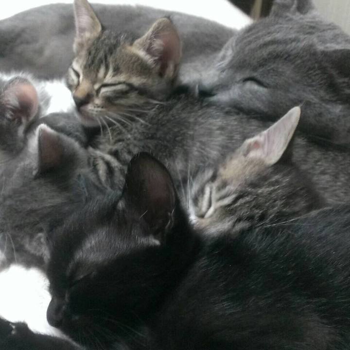 C306cf98 7c13 4866 a9e4 50be5b5c32b1