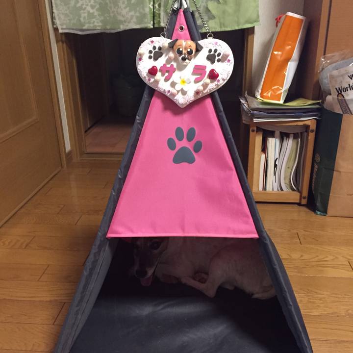 C307d106 9071 496a a53d 832e3b43b696