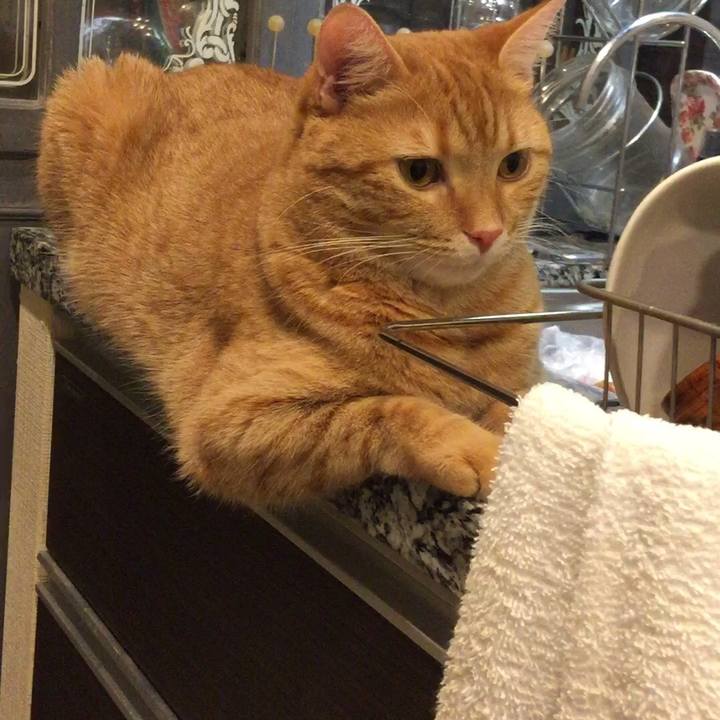 C307eddc 8913 40c6 957a 7e184f560faf