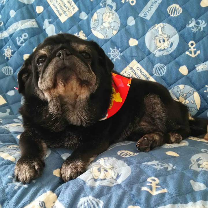 C3087404 868a 46a5 b138 de491ba7ee0c