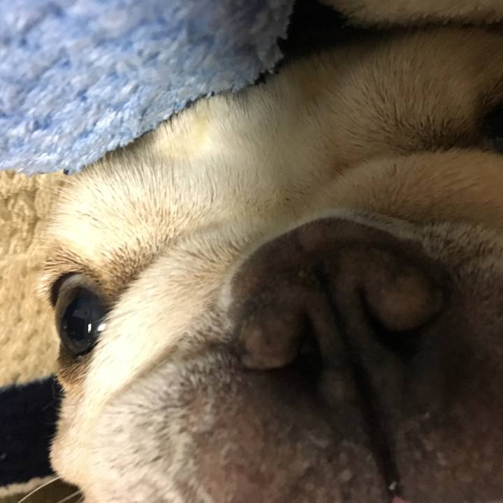 C30992c0 3171 4d32 8dbc 12b52cd1b99c