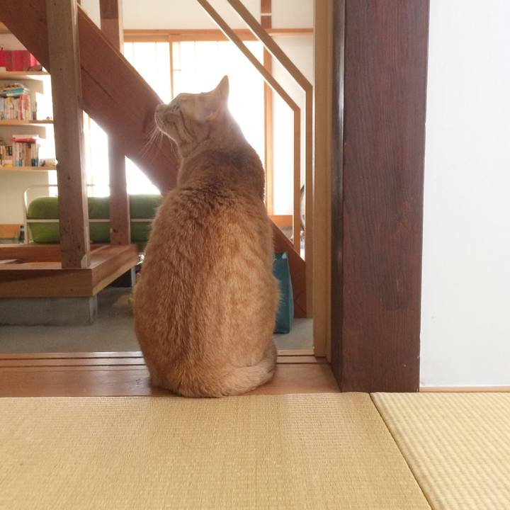 C30a6de1 16b3 40fc 882a 4484dbc39a6e