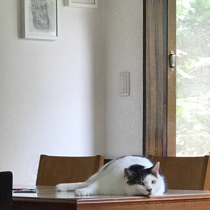 C30abd4c 4861 4edf 9bbf a007a4645cb2