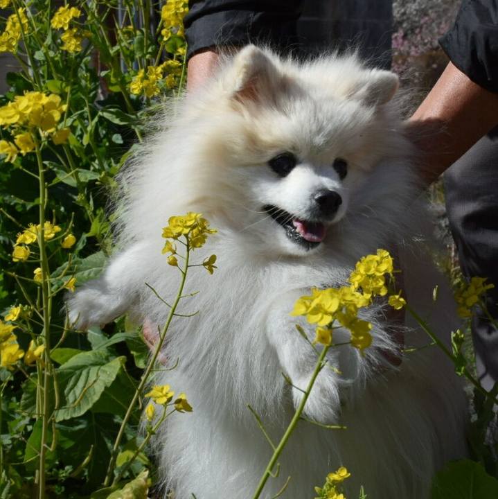 C30b35a4 450b 43af aa83 7999c04b32e8