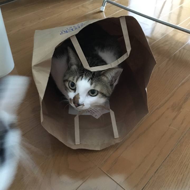 C30b6eb5 9582 408e 8cf4 d59451187474