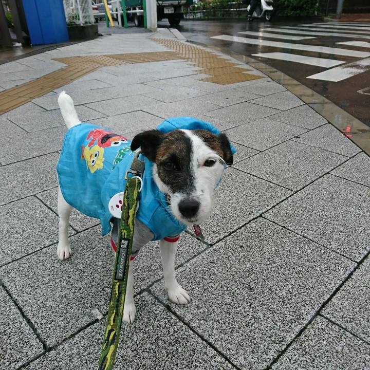 C30c0720 e5b4 478e 8b06 ac55e49acb22