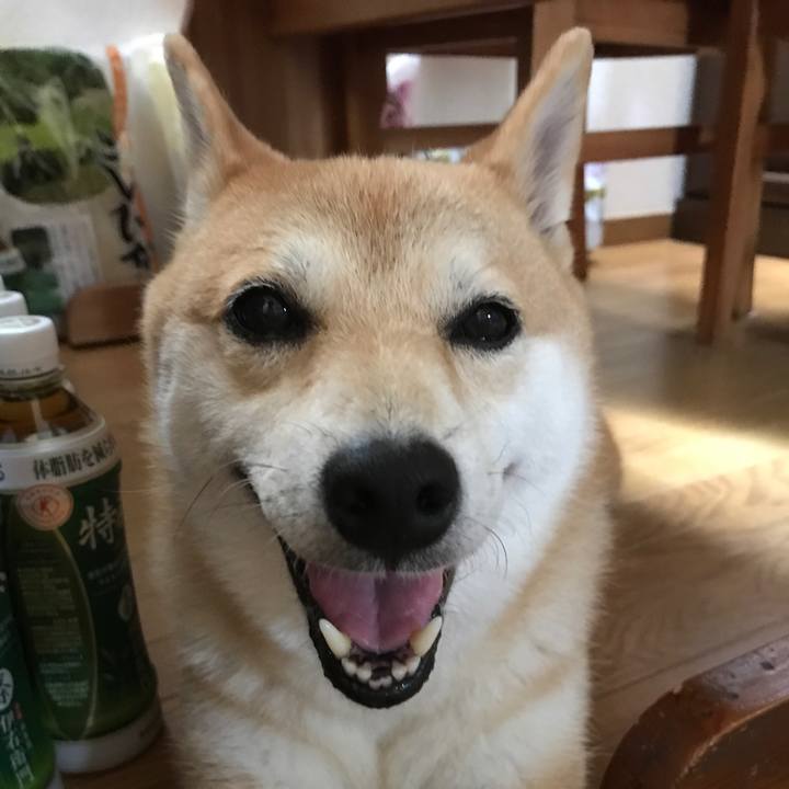 C30d6d07 debb 4387 9bc9 29b1d5ee1dc7