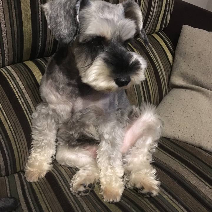 C30df361 4506 4caa 81b2 febe28314c1f