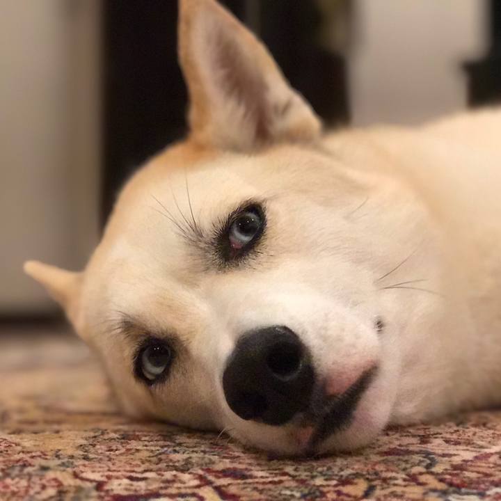 C30e3290 39b6 4a8b 8e2c e0b86e99ba63