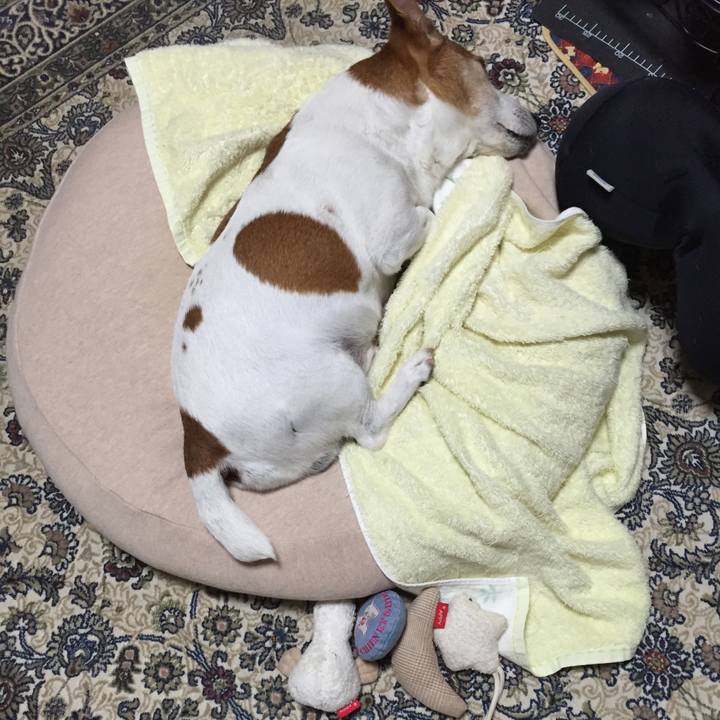 C30e3bd9 8f2d 427e bedf 8bfd6493c6dd