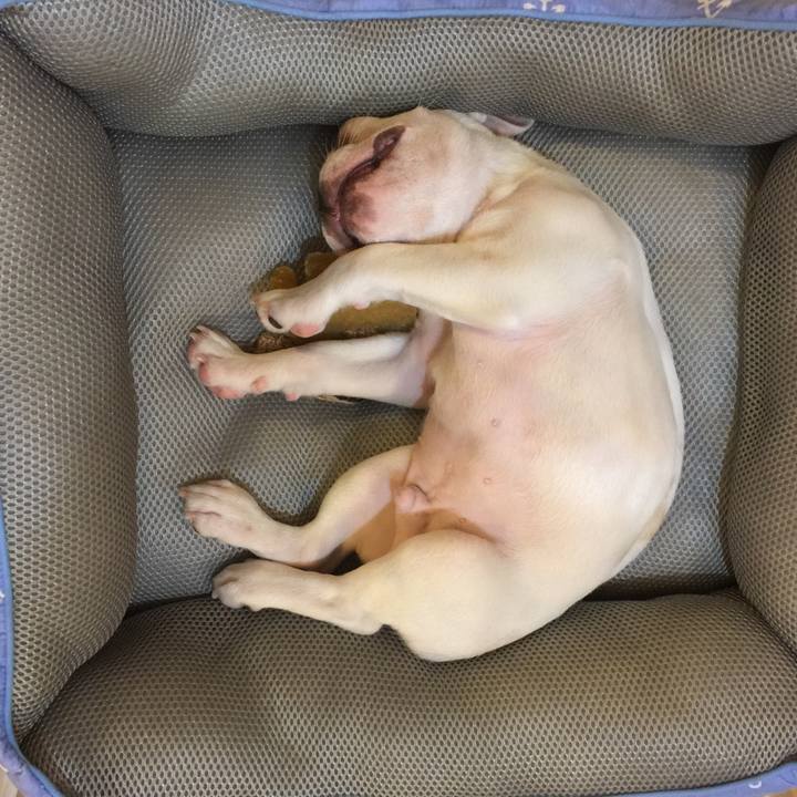 C30f0548 0969 44e6 9c48 f20a74d2c079