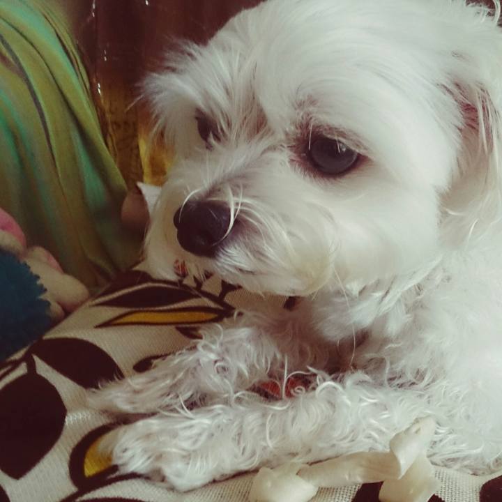 C30f1f28 a1c9 4594 b878 477aa6e6f330