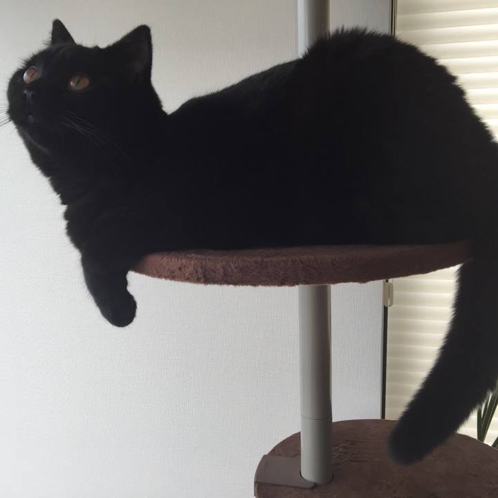 C30f2077 1c49 4adc 9cf0 81ed2cb421d9